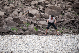 مرگ 2 میلیون ماهی در سد فشافویه